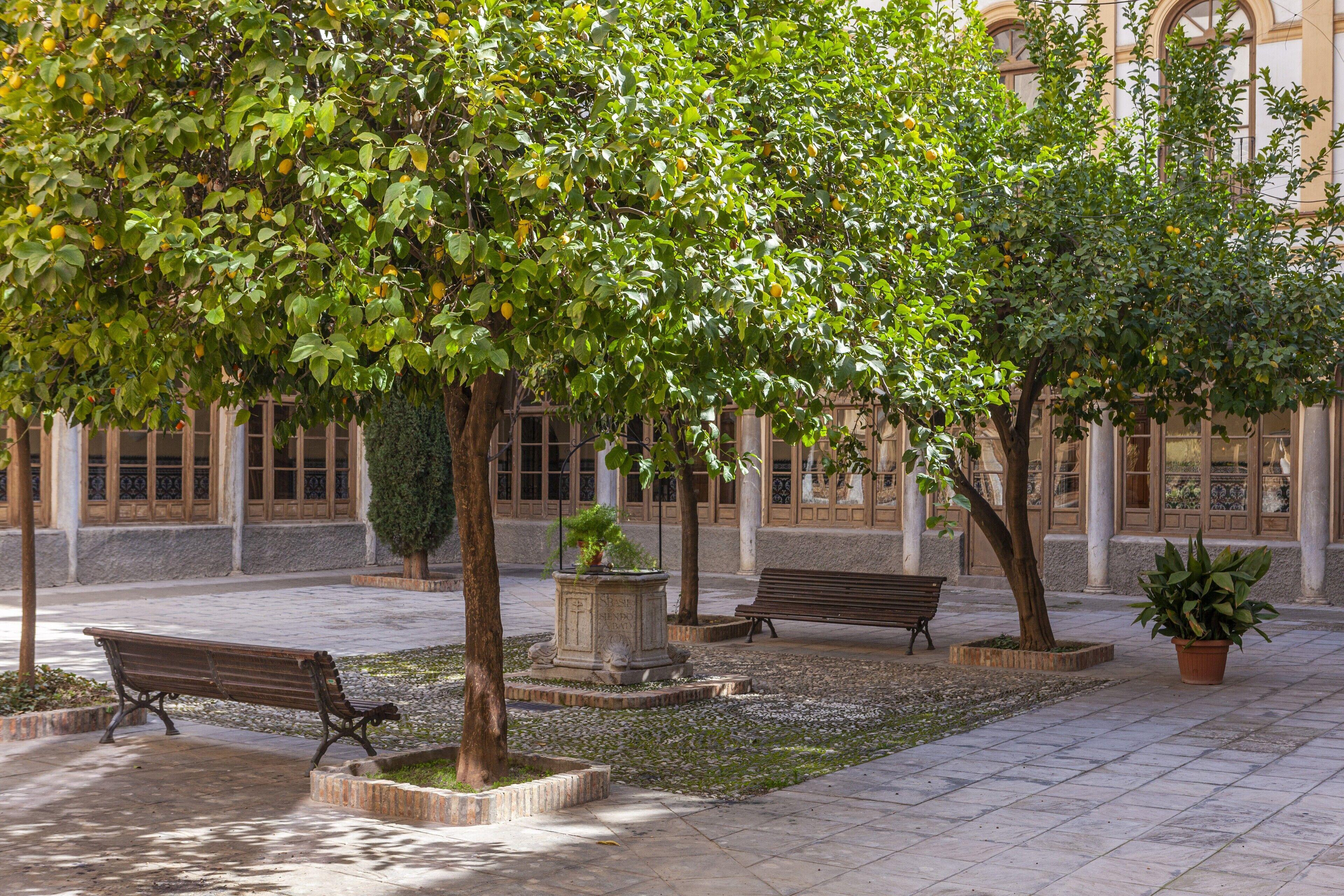Hotel Macia Monasterio De Los Basilios — Foto 2